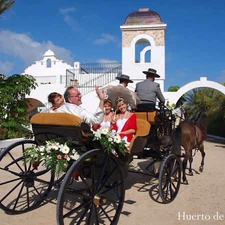 Huerto De La Luz Guest House Elche Exterior photo